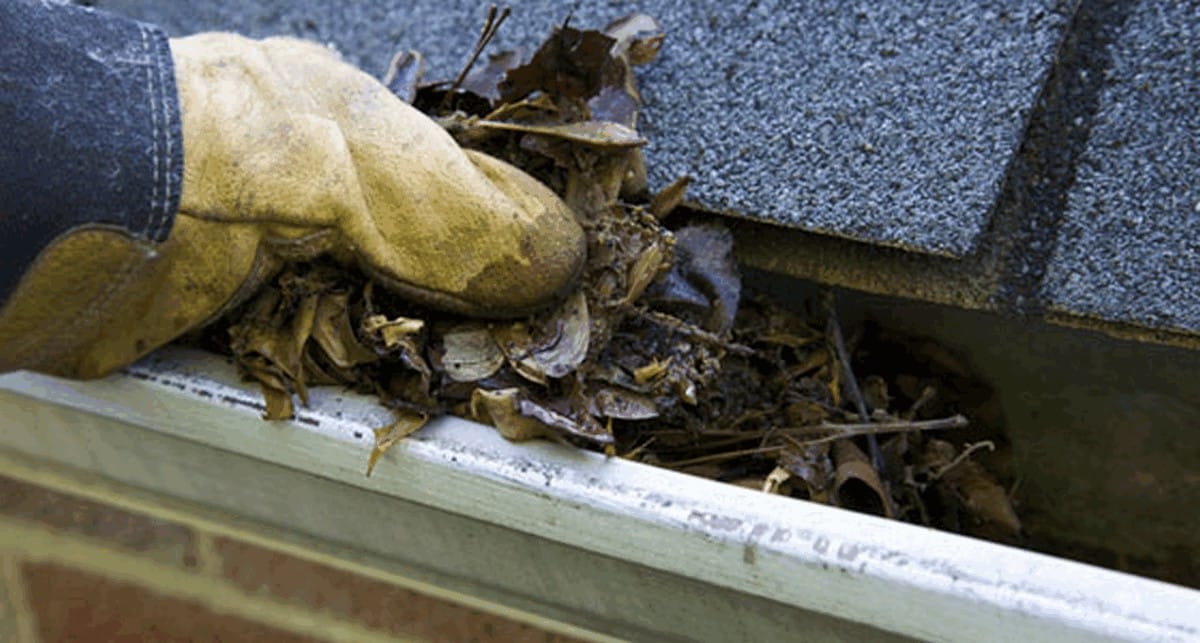 second-feature-image