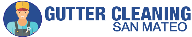 Gutter Cleaning Service logo